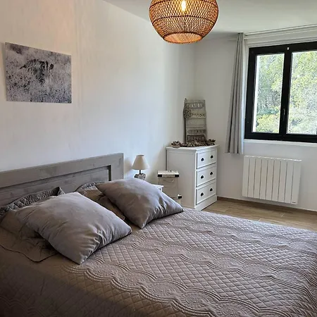 3 Pieces Sur La Plage, Parking Inclus, Animaux Admis - Fr-1-251-832 Apartment